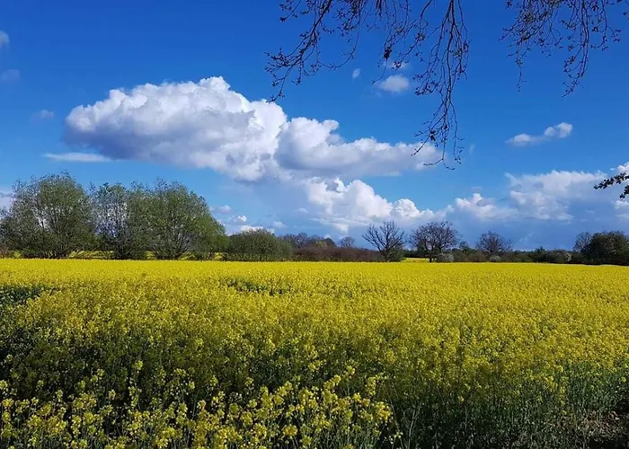 Appartamento Kruse 8 *